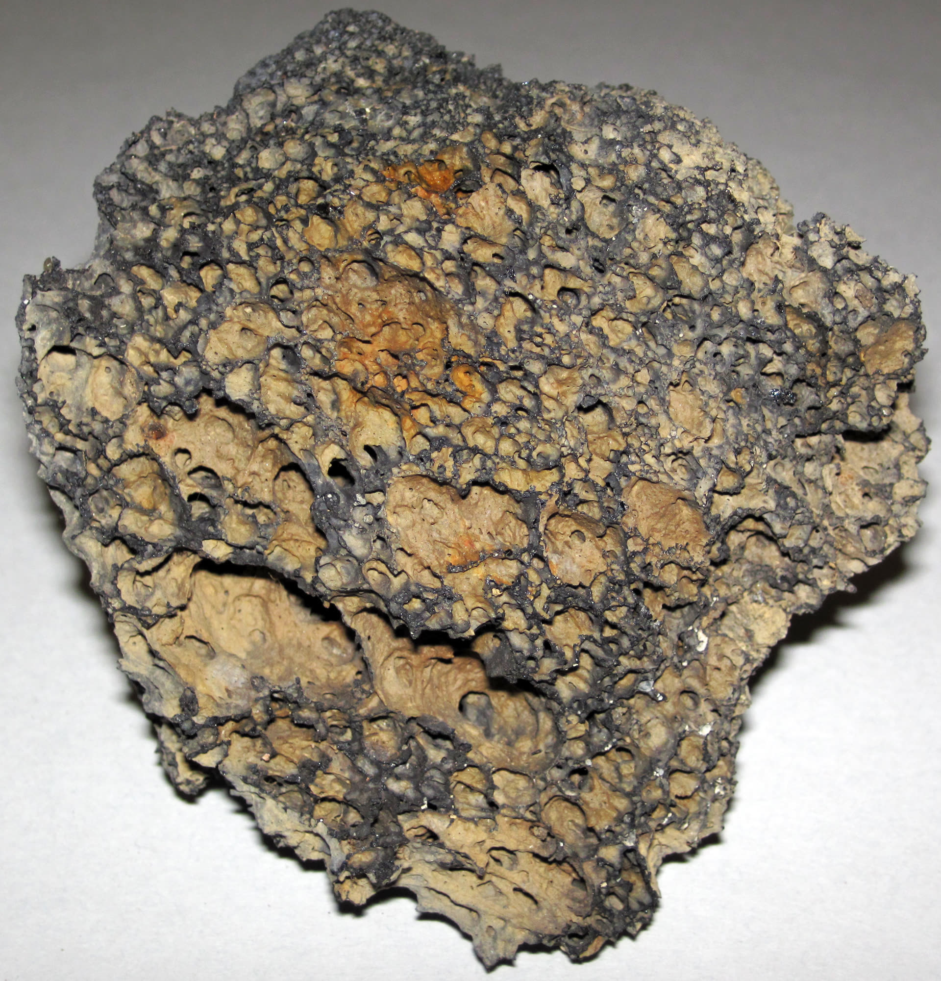 Lava Rock as a Succulent Substrate Component