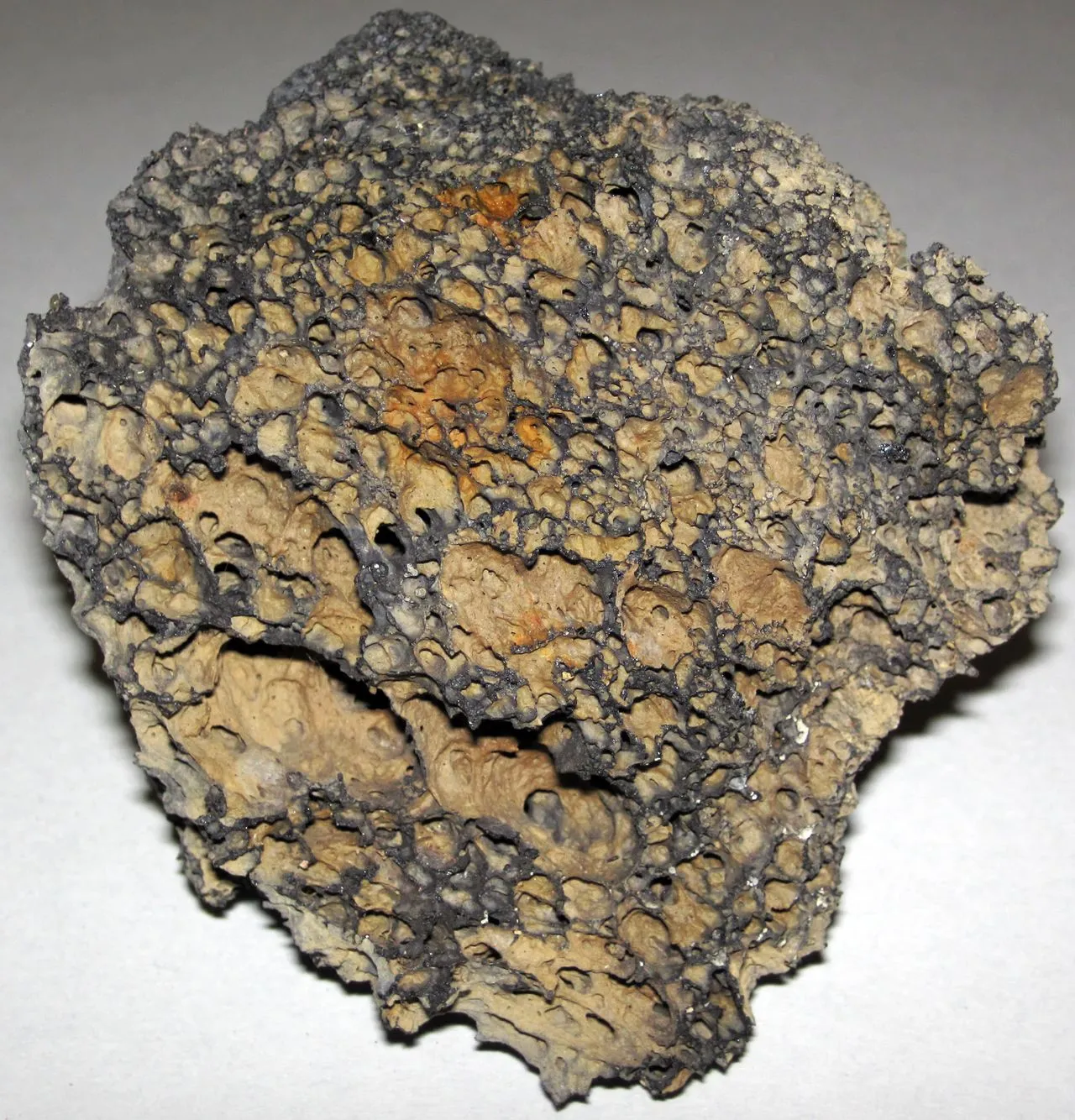Lava Rock as a Succulent Substrate Component
