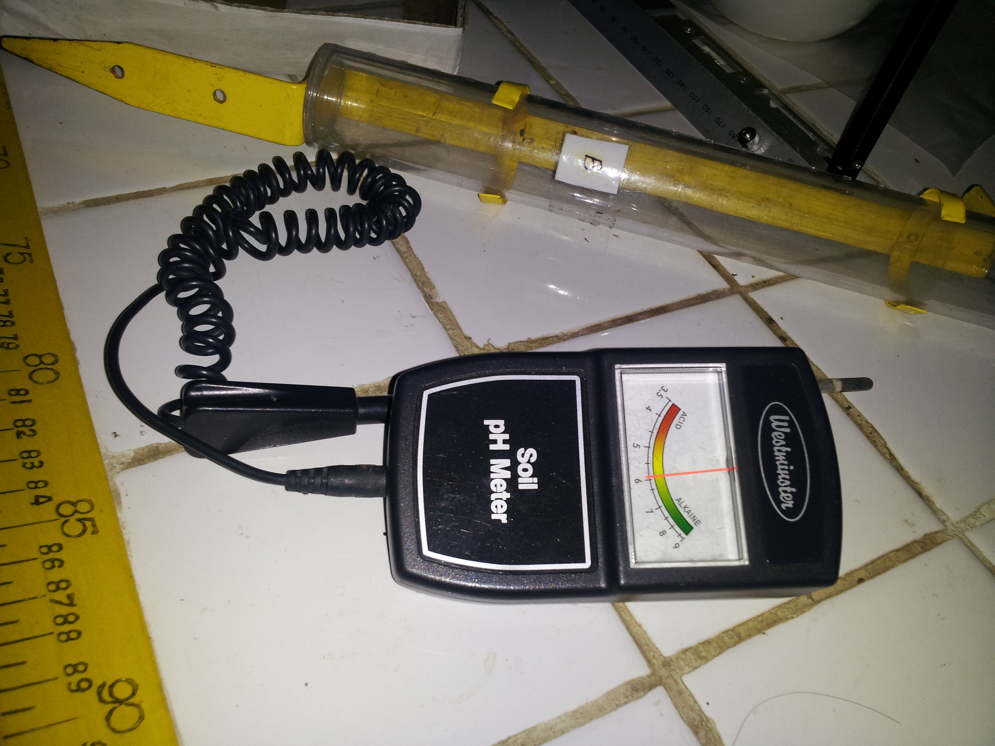 Substrate pH: Why It Matters Less Than Drainage (And When It Doesn't)