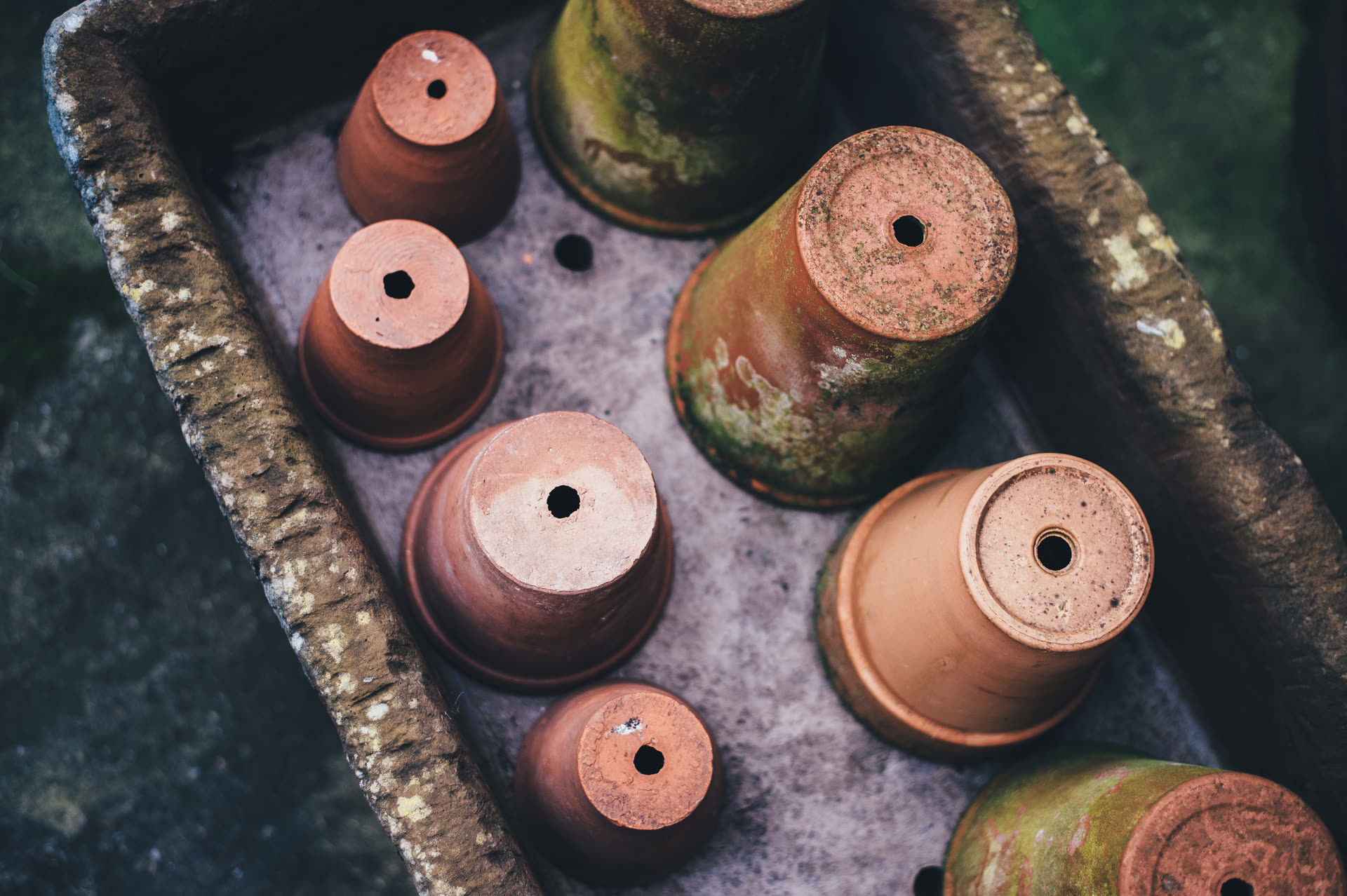Terracotta vs Glazed Ceramic vs Plastic: Pot Choice Trade-offs