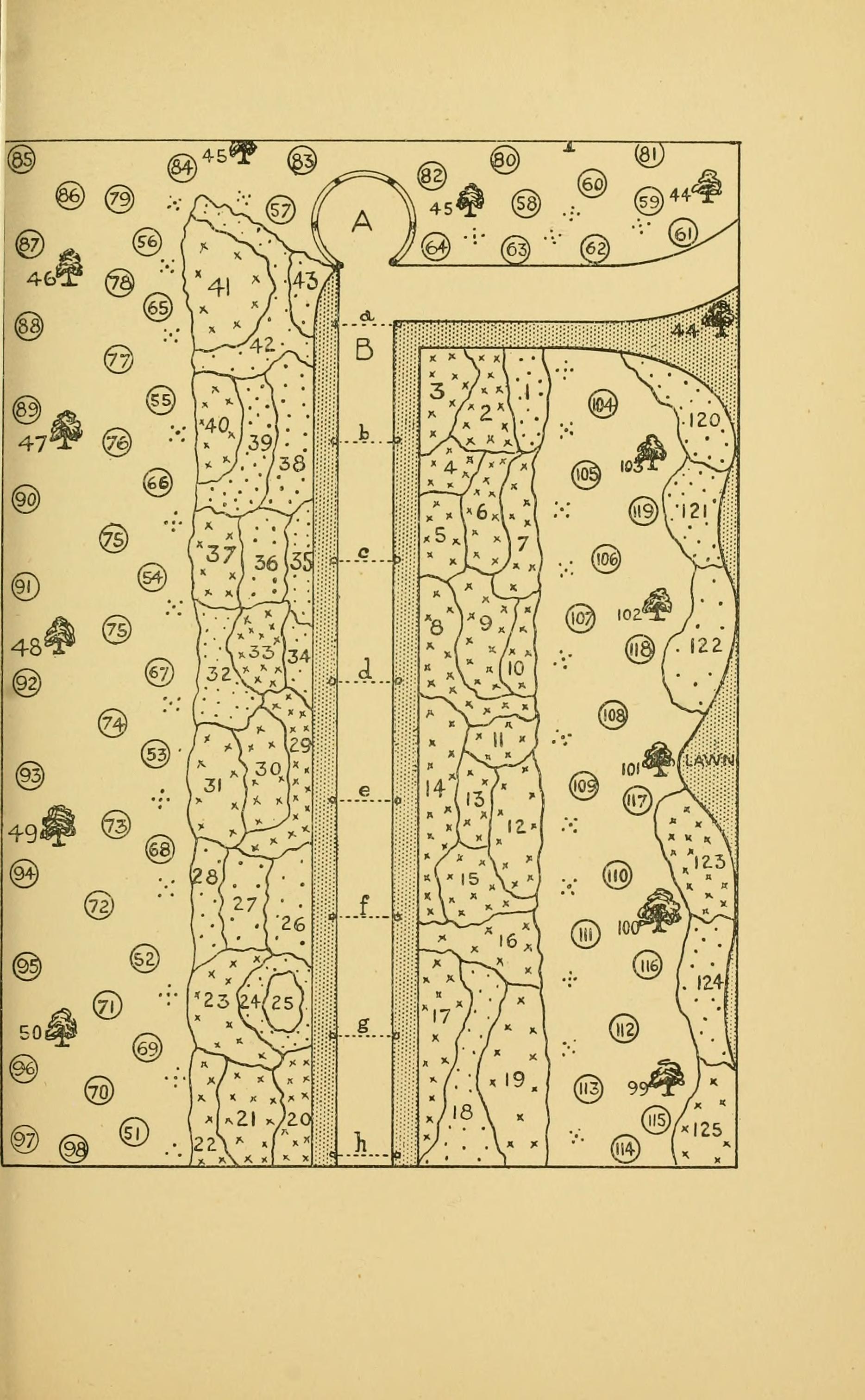 Sedum 'Autumn Fire': The Sturdier 'Autumn Joy'