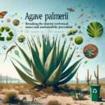 Agave palmeri: Revealing the Distinct Ecological Importance and Sustainability Potential