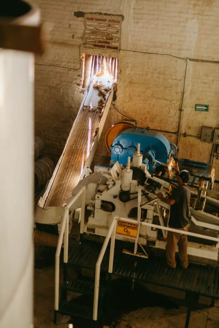 Agave tequilana Processing at Tequila Distillery