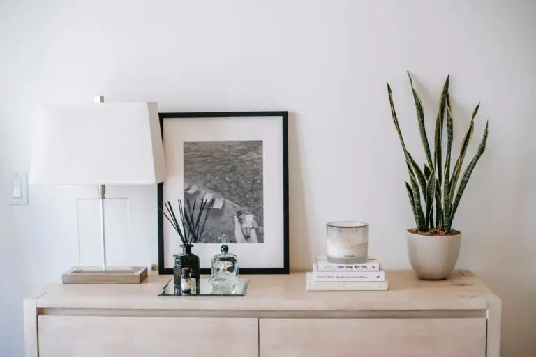 Aloe bakeri plant on chest of drawers enhancing home decor