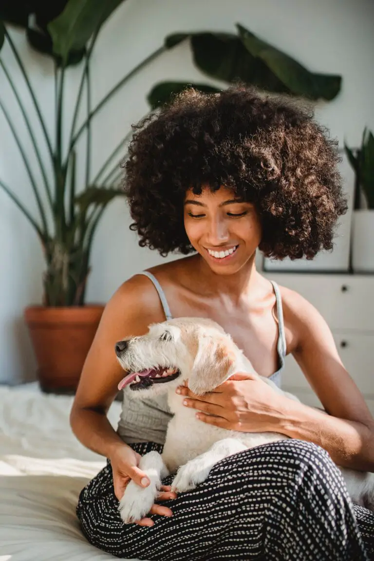 Cheerful black woman embracing dog in bedroom, ensuring the safety of pets around Senecio Mikanioides