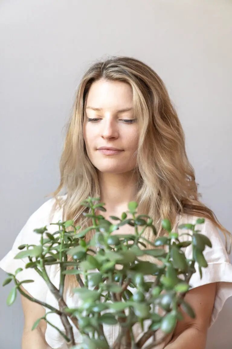 Crassula Argentea held by a woman