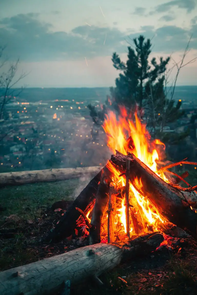 Crassula Campfire: A Sustainable Plant Choice