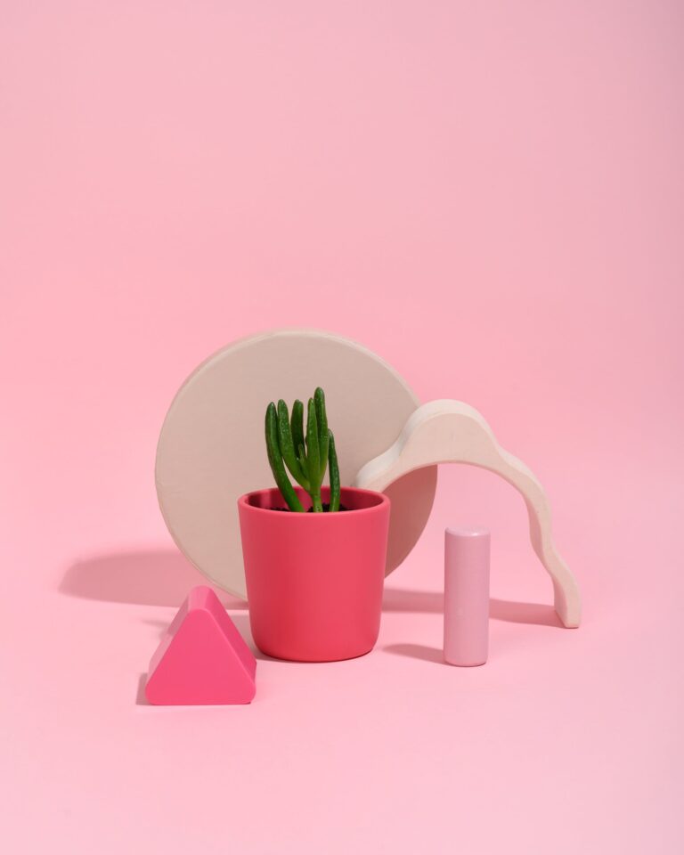 Crassula Falcata, also known as the propeller plant, in a pink container