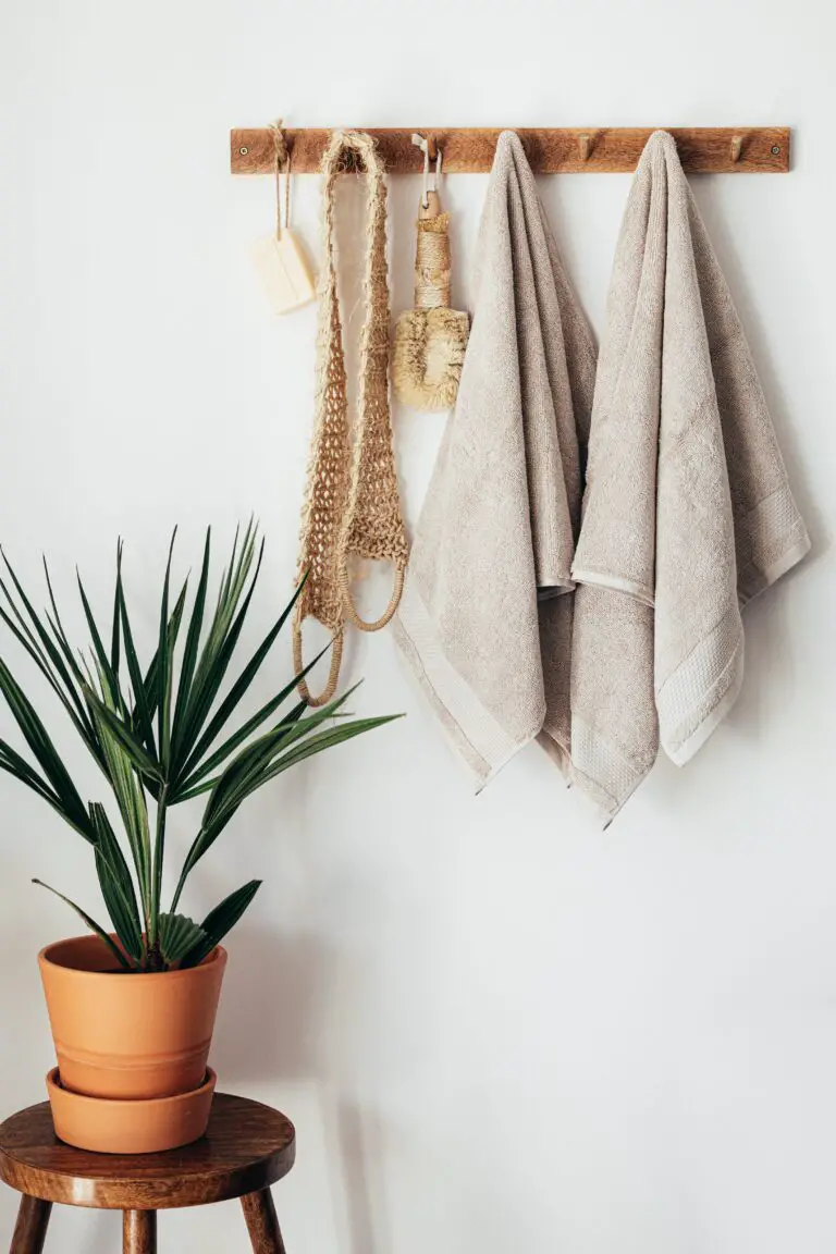 Haworthia how to care with a houseplant on a wooden table