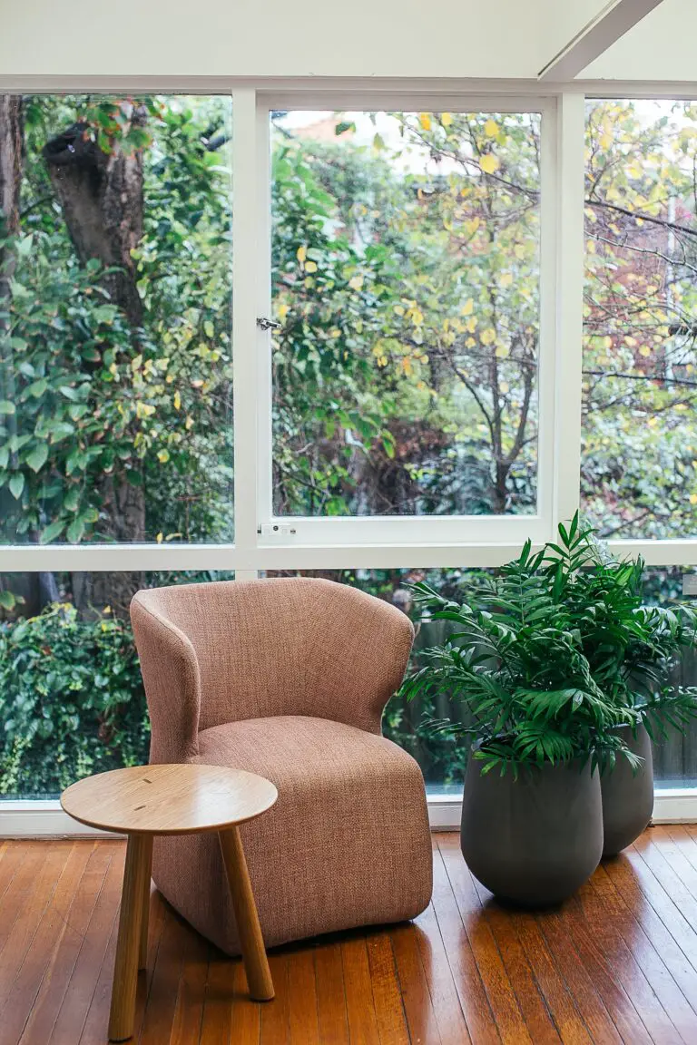 Kalanchoe Delagoensis in a modern home setting