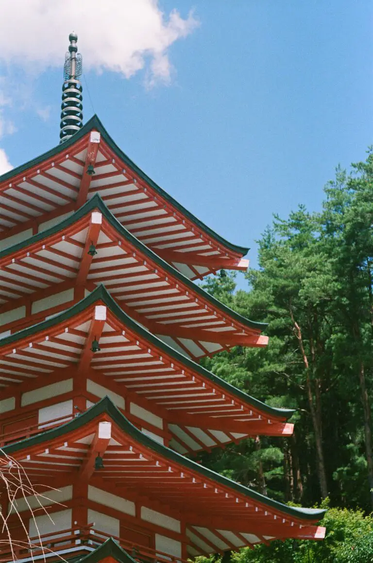 Pagoda Crassula surrounded by lush greenery