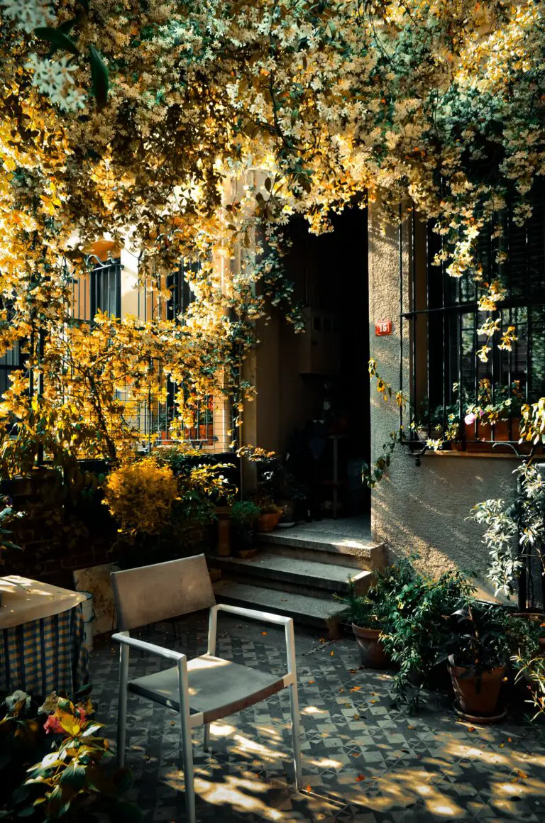 Sedum creeping forming a patio cover of an old residential house in autumn