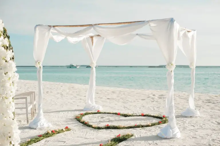 Sempervivum Ruby Heart in a white fabric canopy tent with green heart floor decor at beach