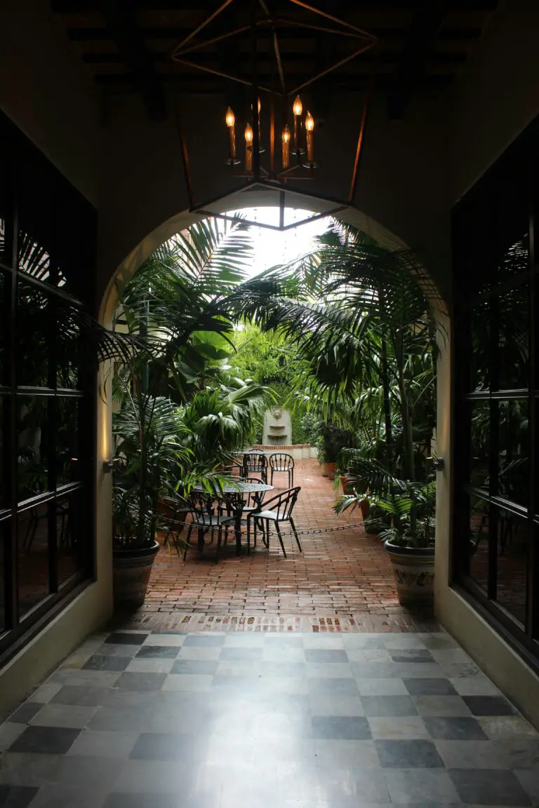 Senecio Angulatus in a beautifully designed garden patio setting