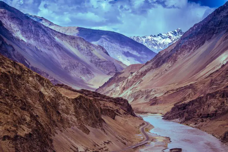 Senecio Himalaya amidst Mountain and Body of Water