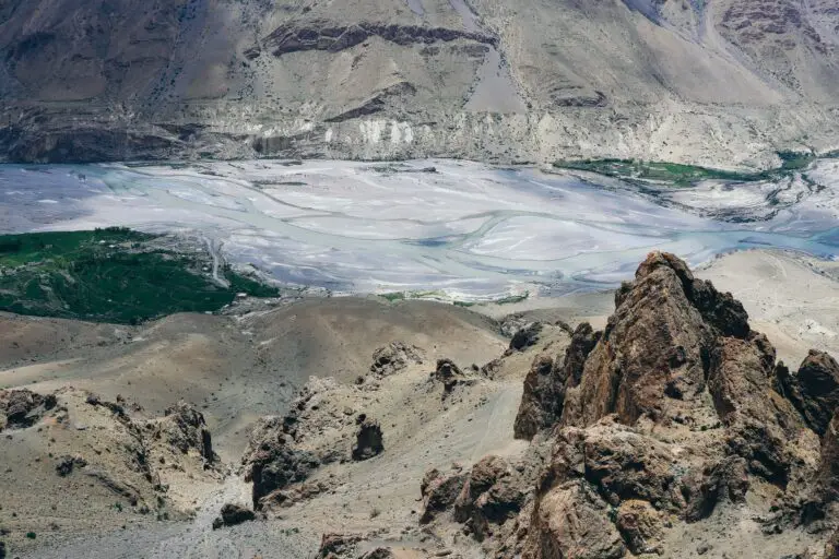 Senecio Himalaya enduring pests and diseases in mountainous environment