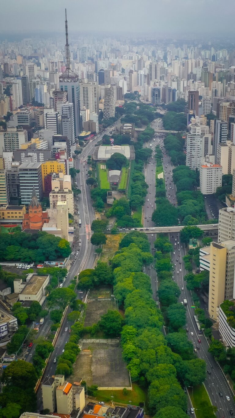 Senecio Skyscraper juxtaposed against an urban cityscape with trees