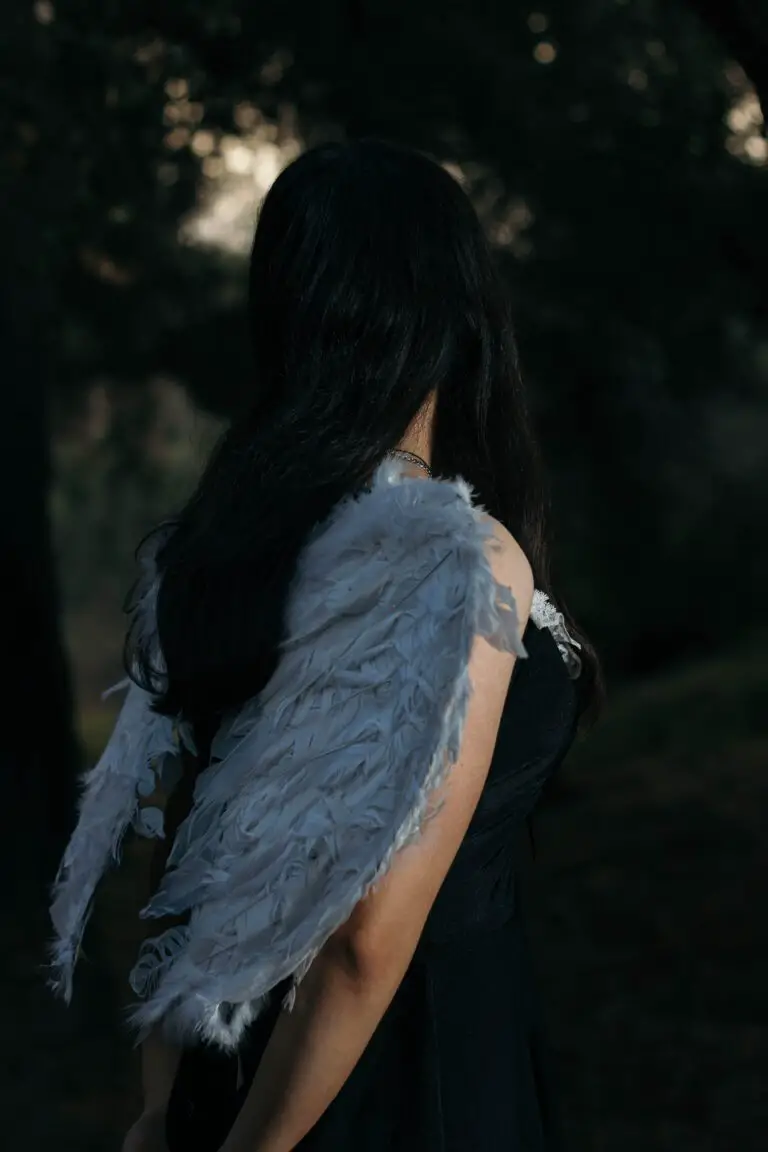 Senecio angel wings plant