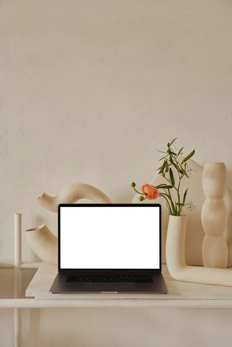 Senecio plant elegantly placed on a shelf as home décor