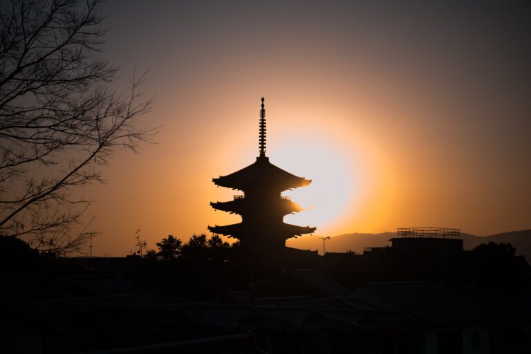 Silhouette Photo of Pagoda Crassula