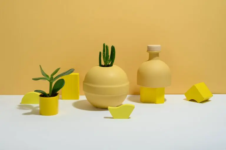Crassula Calico Succulent Plants on Yellow Background