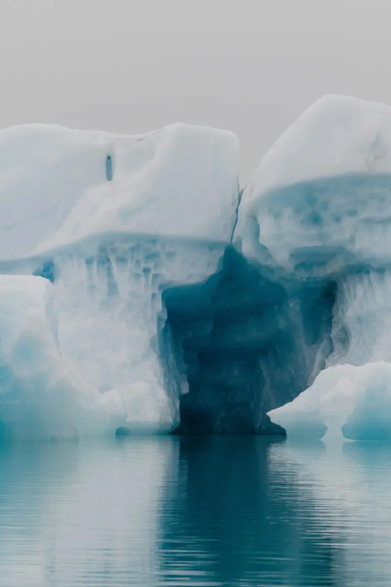 Sempervivum Pacific Blue Ice - Cave in Polar Iceberg