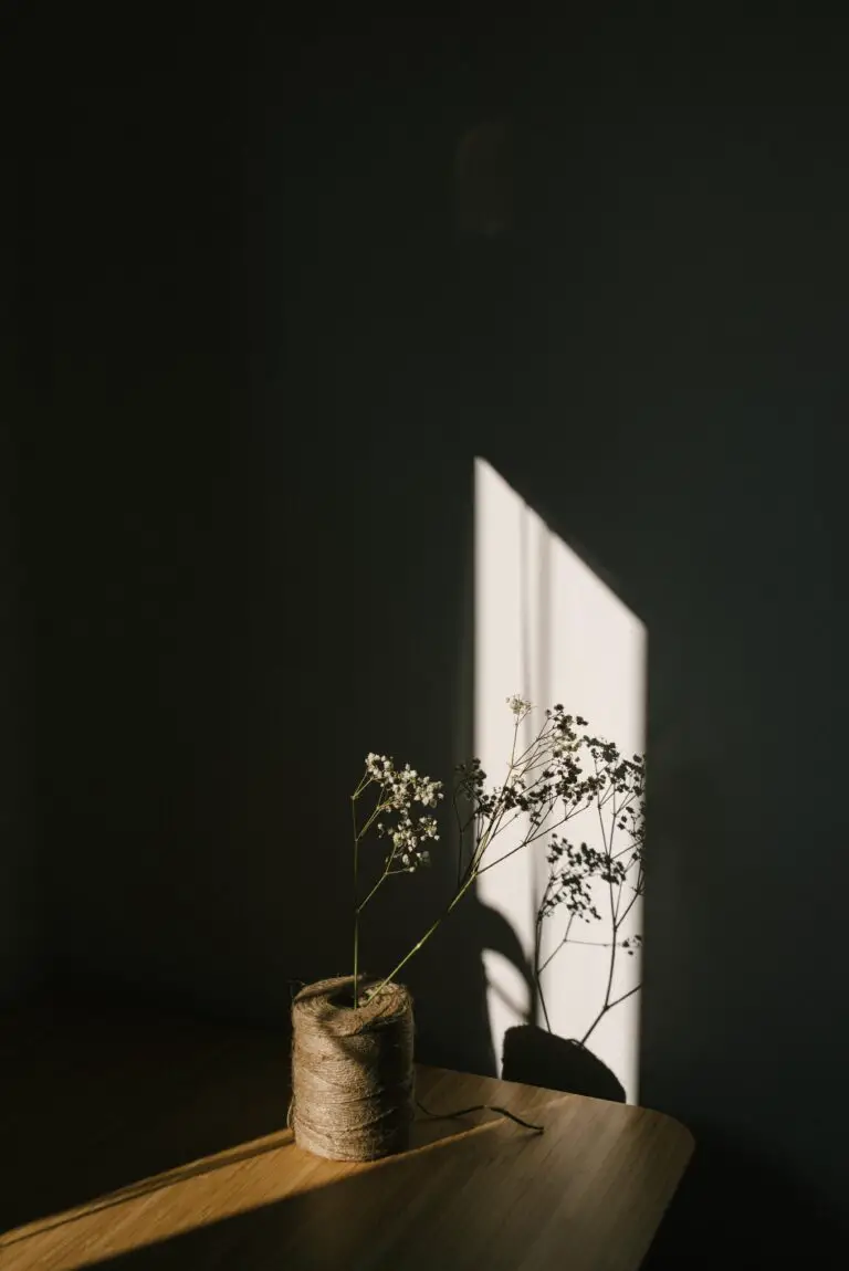 Sempervivum death bloom, a tender flower on a stem in a ray of light