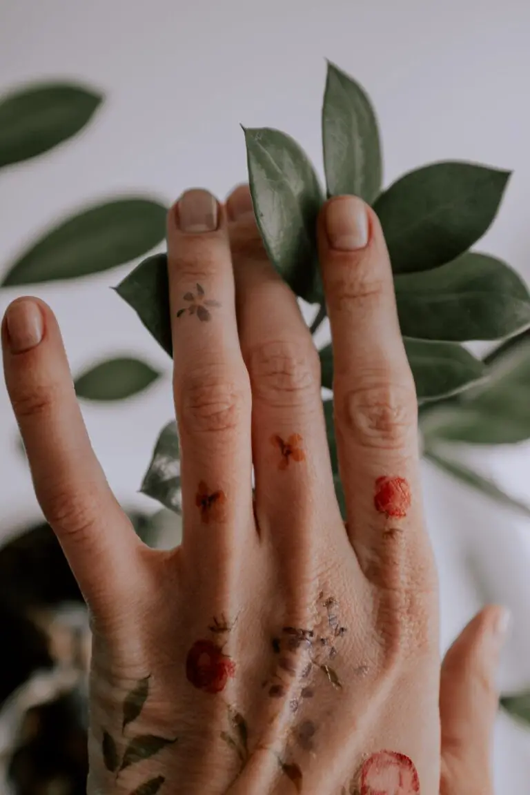 Care for a Crassula plant, person's hand gently touching green leaves