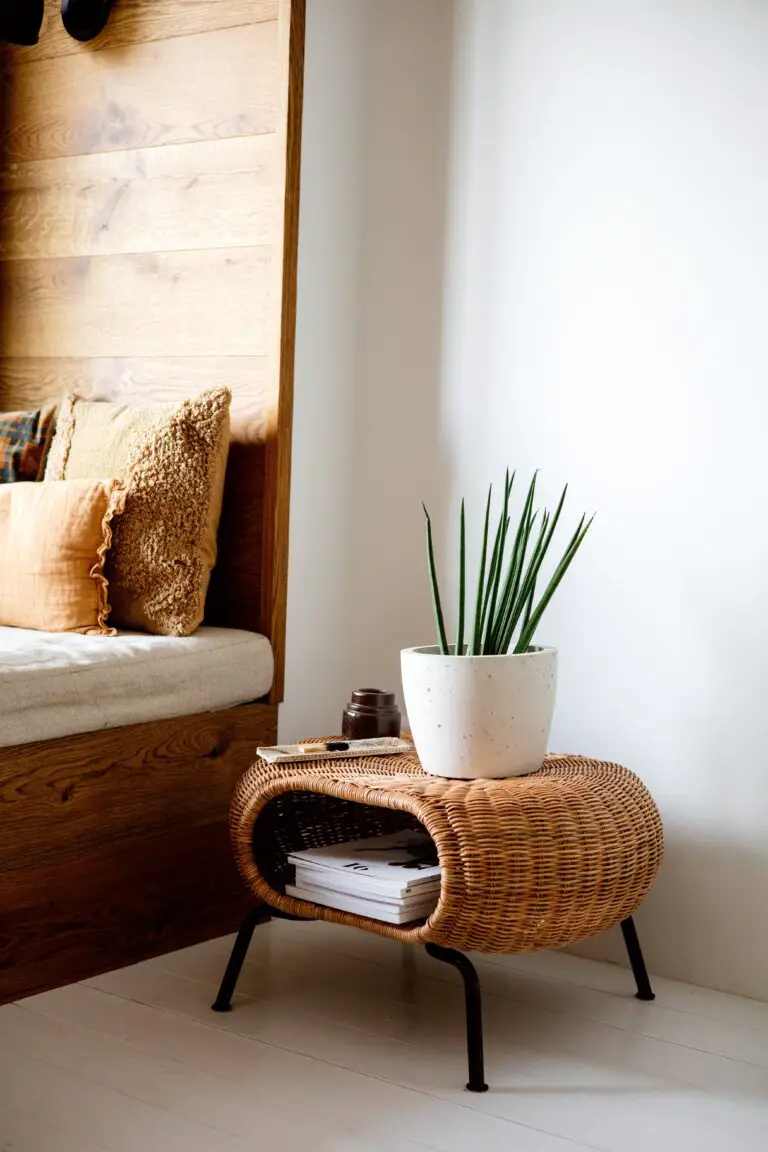 Is Crassula toxic? A Potted Crassula Plant on a Rattan Side Table in a Cozy Room setting