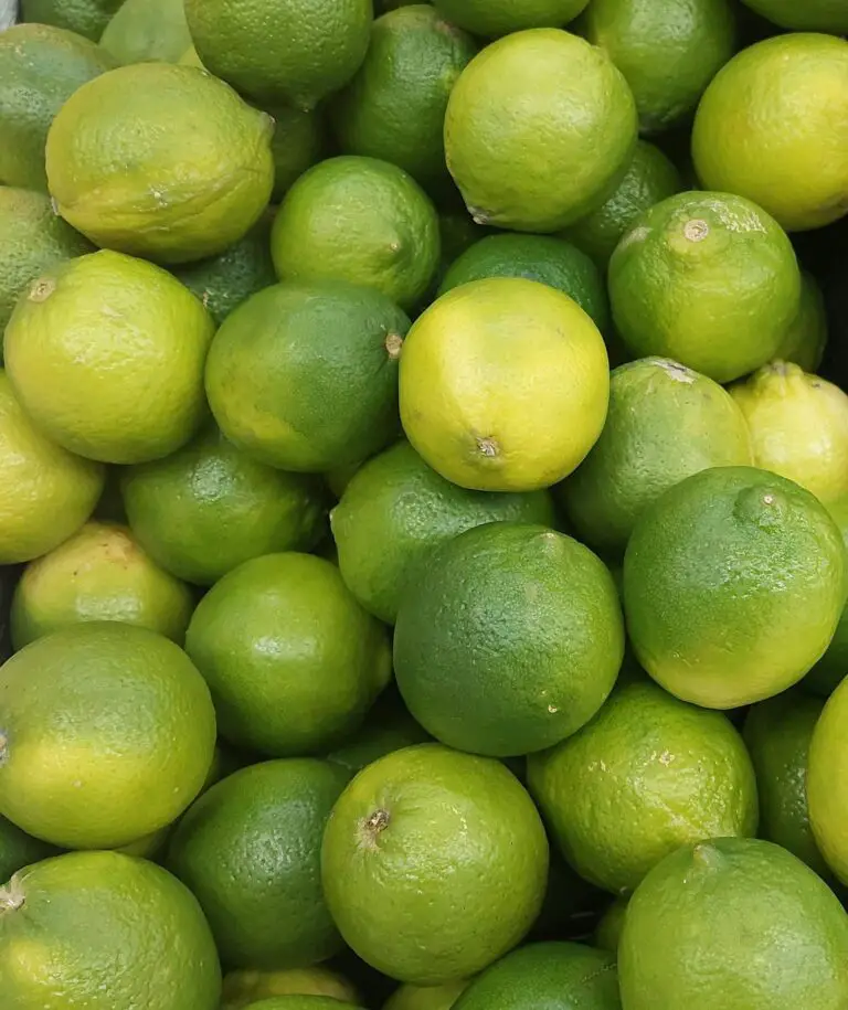 Learn how Crassulacean Acid Metabolism conserves water with a close-up of a green key lime