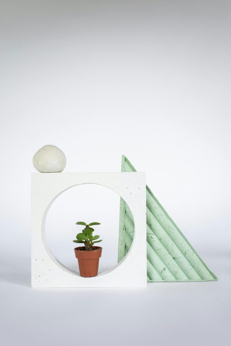 Should jade plants be pruned - A Potted Jade Plant on a Multi Shaped Decors