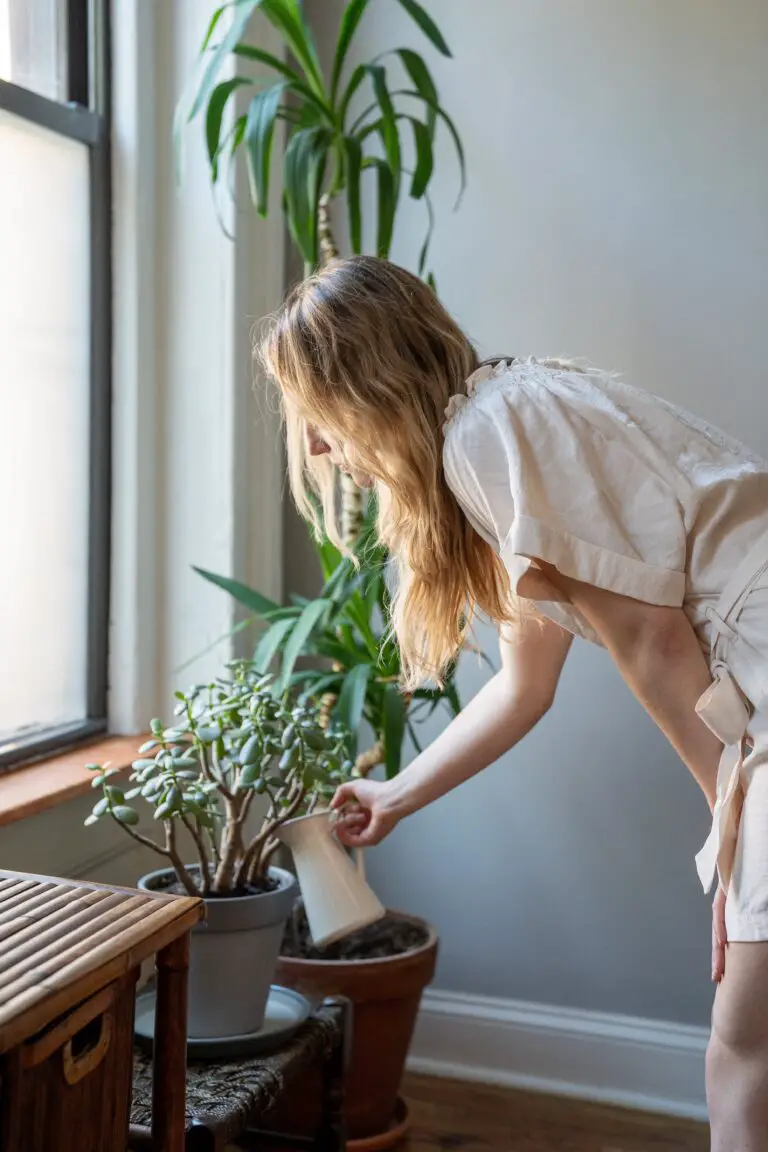 Tips for growing CAM plants, the epitome of Crassulacean beauty and resilience