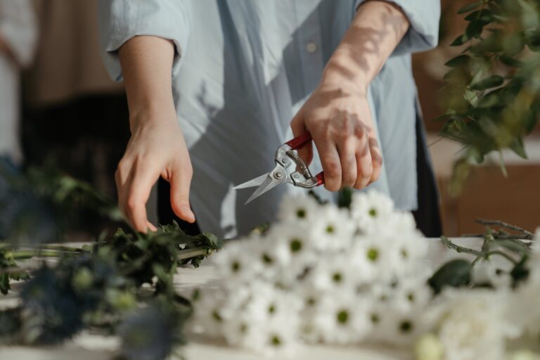 how to maintain crassula plant - Person Holding Pruning Shears