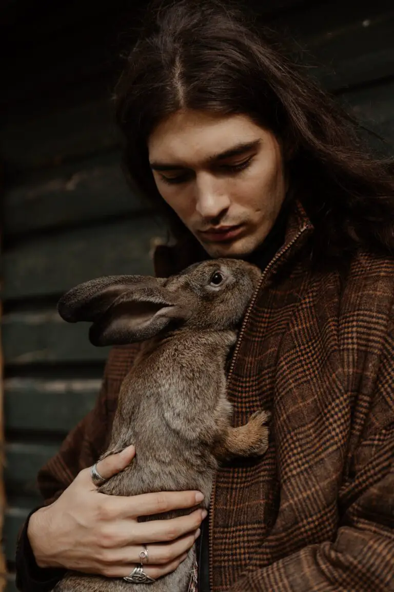 Are sedum rabbit resistant plants with a person holding a brown rabbit