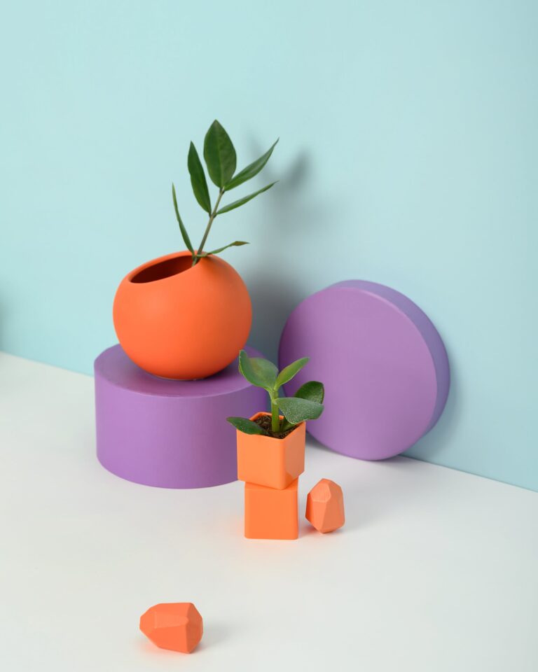 Crassula ovata plant in an orange container