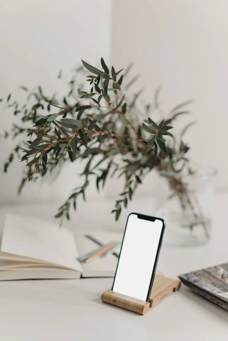 Decorative Crassula Plant Indoors Near Smartphone