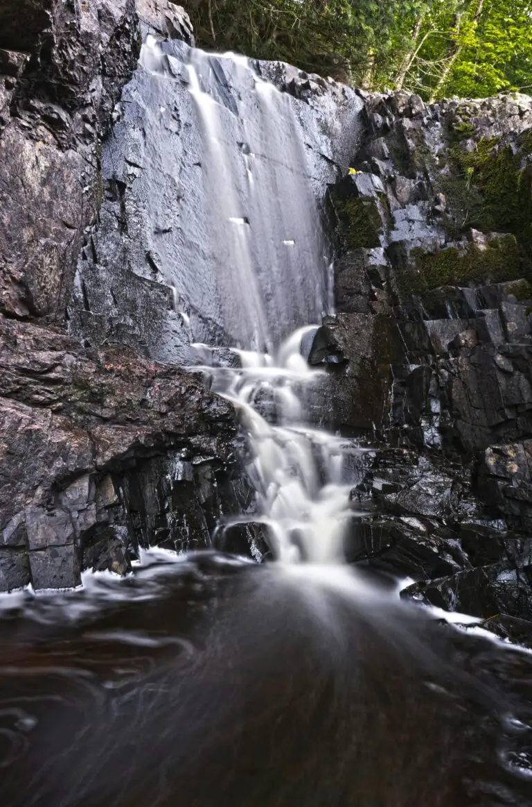 Fossils in sedimentary rocks showcasing Earth's history