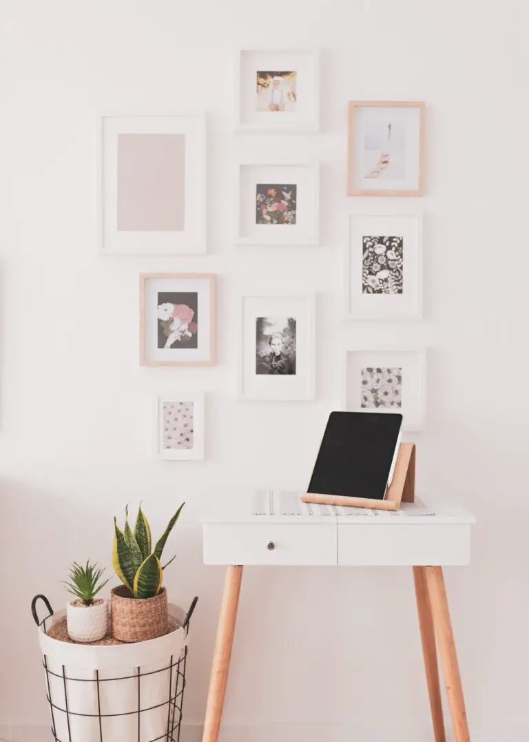 Indoor sedum plant display enhancing the modern home decor