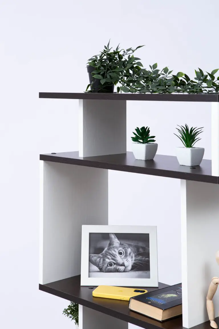 Safe non-toxic plants for cats on a White Wooden Shelf