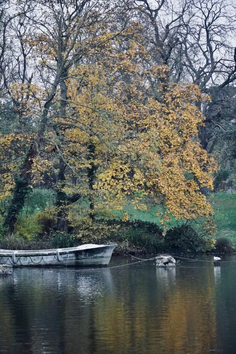 Sedimentary environments showing an old boat moored on a body of water