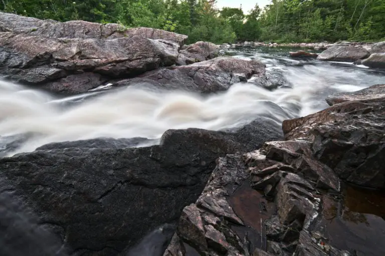 Sedimentary rocks fossils in a mountain stream