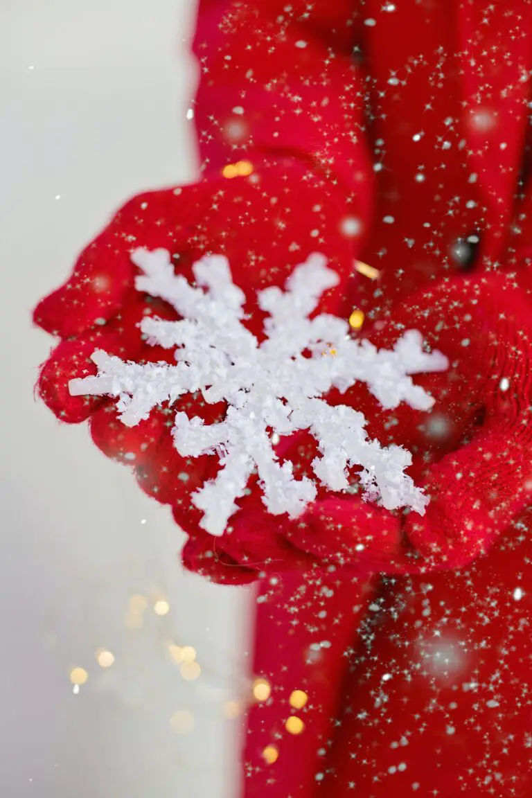 Sedum plant resilience during frost