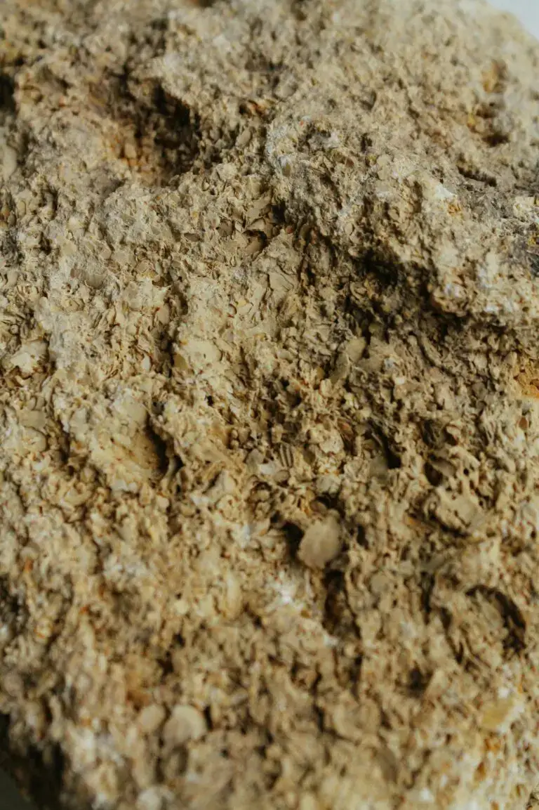 Various textures and compositions of sedimentary rocks, resembling Earth's geological history