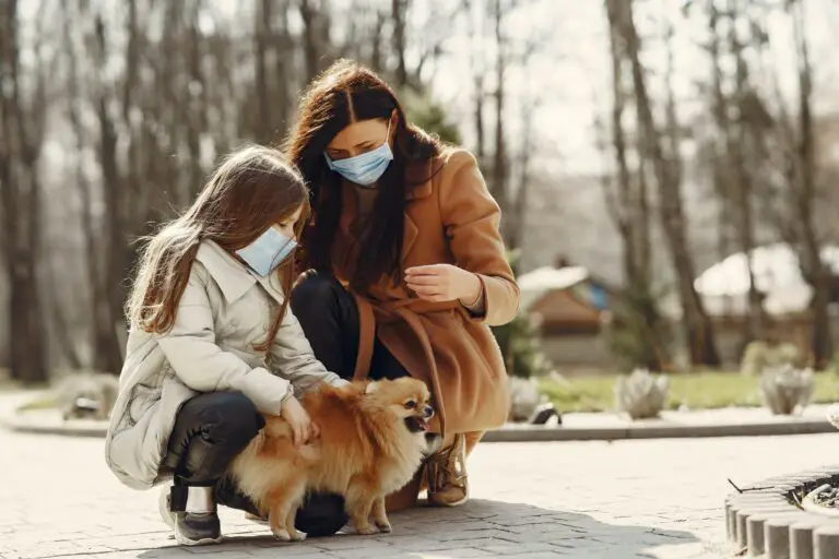 are sedums toxic to dogs - Cheerful daughter and mom with little Pomeranian dog enjoying weekend in nature