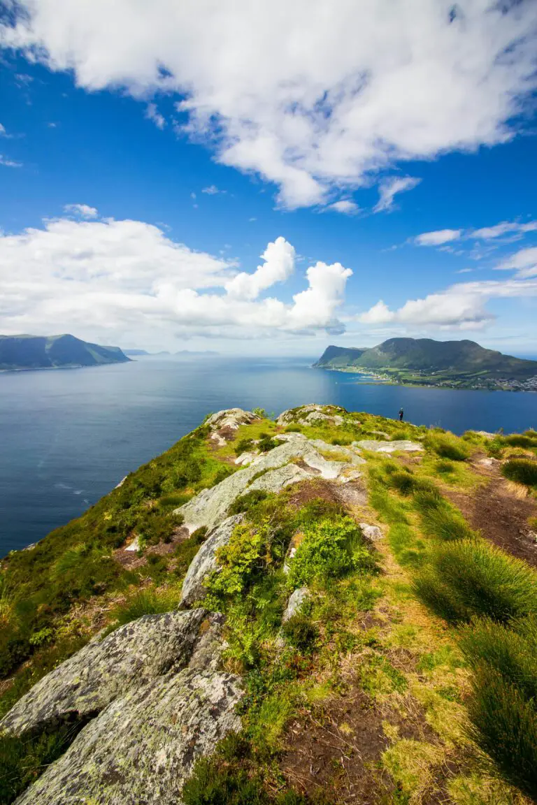 how do sedimentary rocks form on the Hawaiian islands