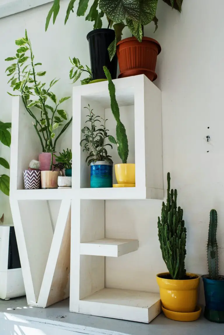 is crassula a jade plant - Gray shelf with decorative construction in shape of LOVE word placed near white wall with potted jade plant in soft daylight