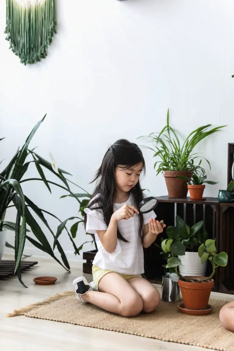 why is my crassula drooping - Serious adorable Asian girl exploring green potted plants