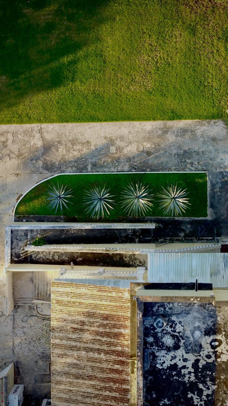 Layers of a sedum roof, an eco-friendly green space in urban architecture