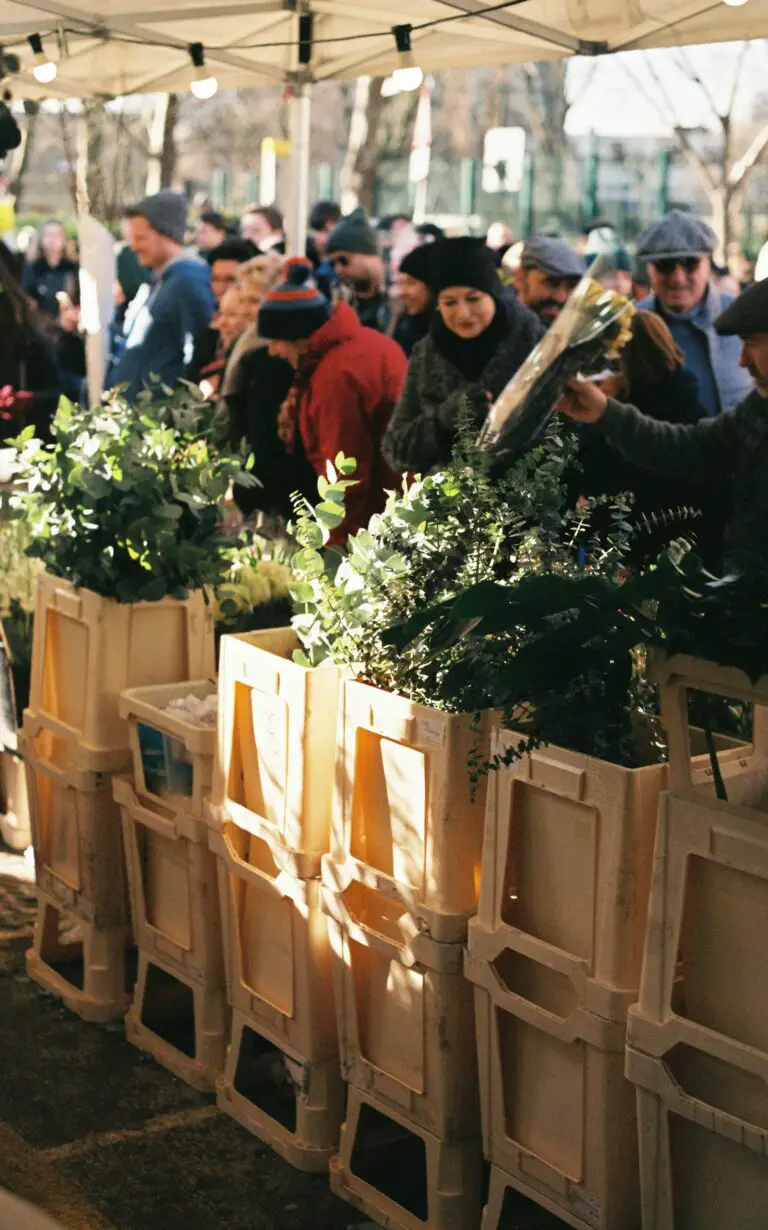 Local nursery showcasing who sells sedum plants