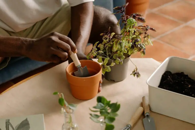 sedum where to plant - Person Using a Garden Trowel